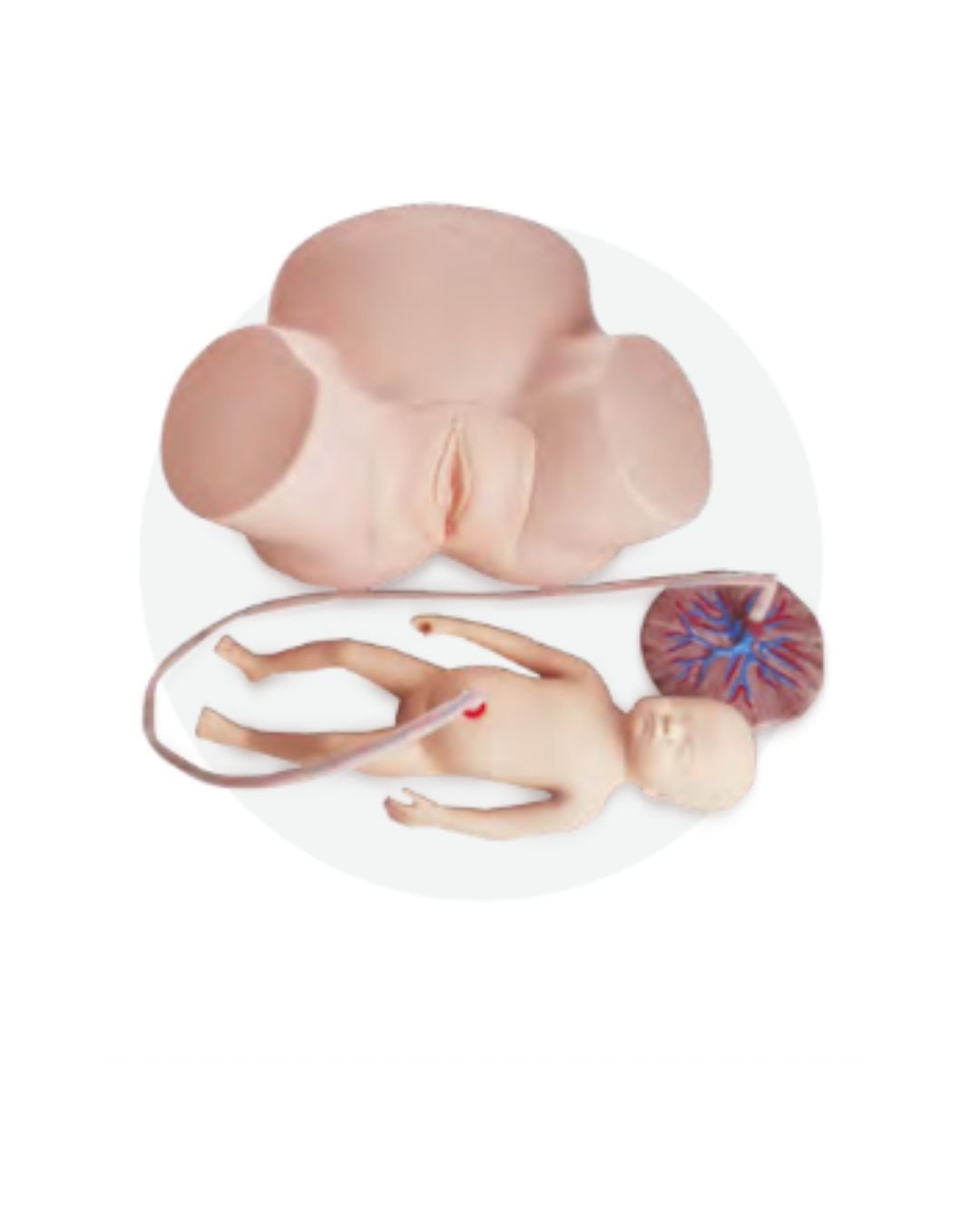 Midwifery Practice Model