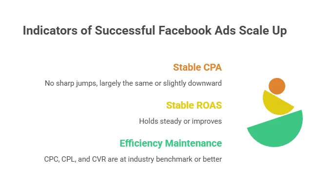 Infographic outlining key signs of successful Facebook ad scaling, including stable CPA, stable or improving ROAS, and maintained efficiency across CPC, CPL, and CVR metrics.