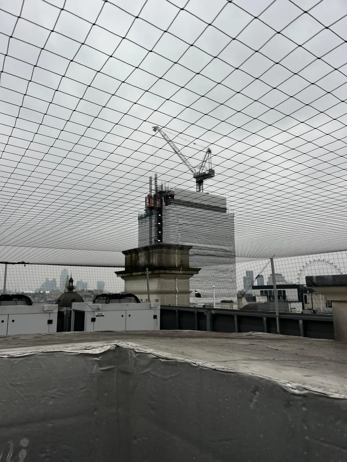 Rope Access Pest Control