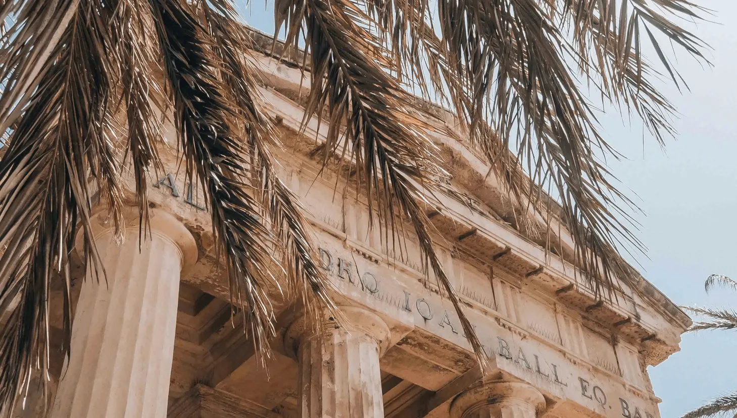 a tall building with columns and a palm tree