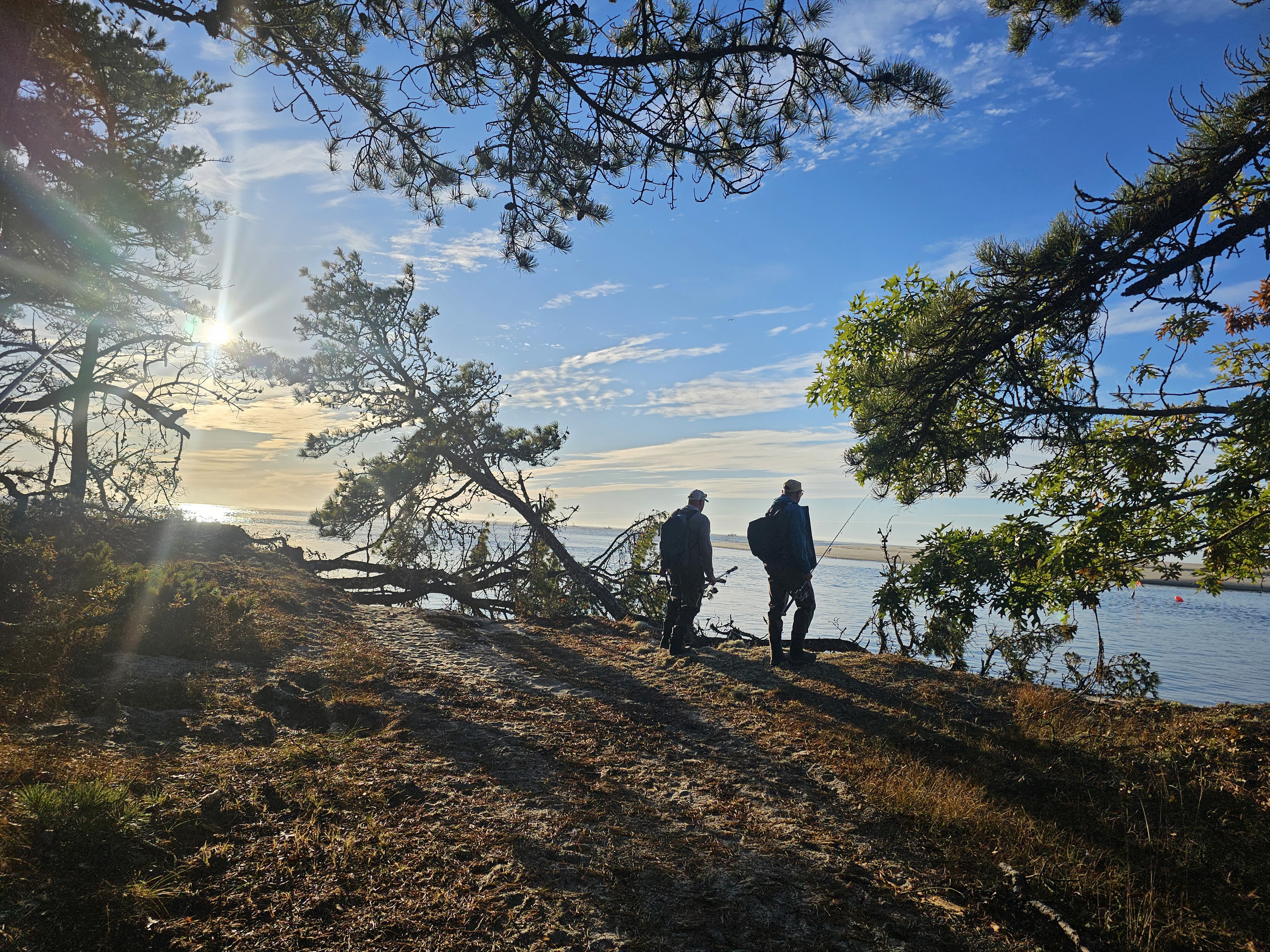 Cape Cod, tun, bonito, striper