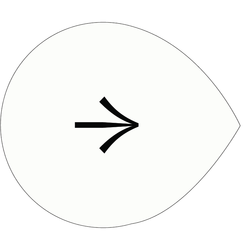 Next Arrow