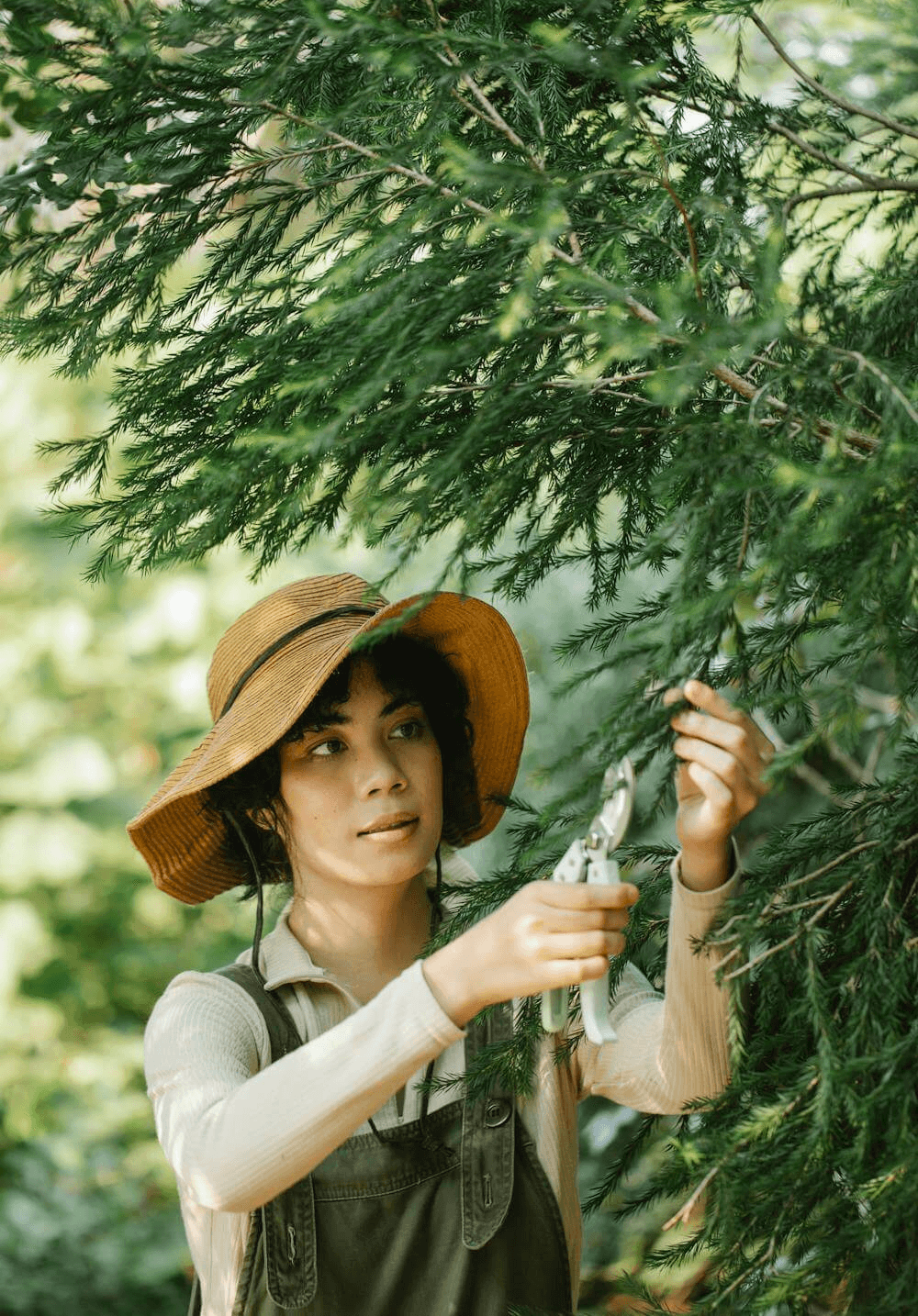 Eine Frau mit Strohhut schneidet mit einer Gartenschere Äste eines Baumes – professionelle Gartenarbeit für gepflegte und beeindruckende Grünflächen.