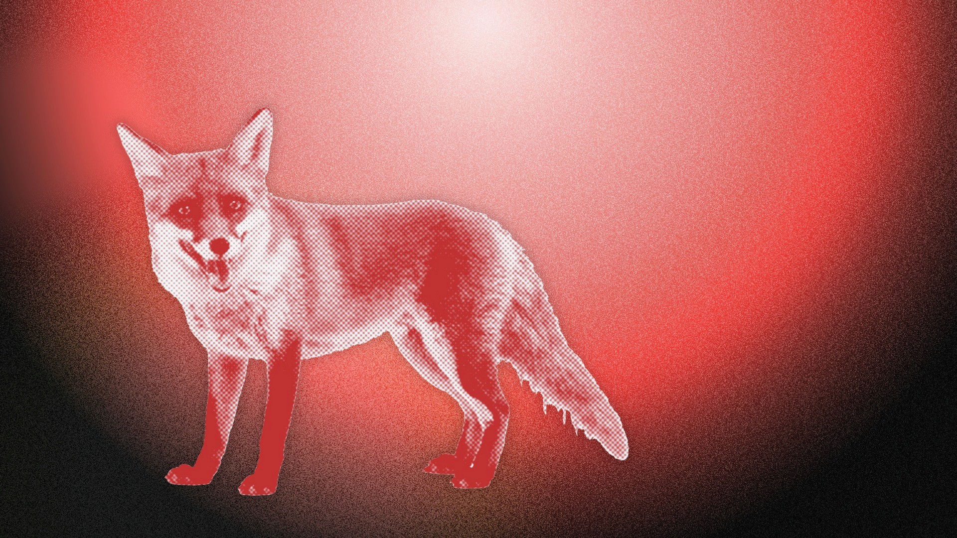 Fuchs - als bildliche Metapher für das Angebot Futures Thinking Masterclass