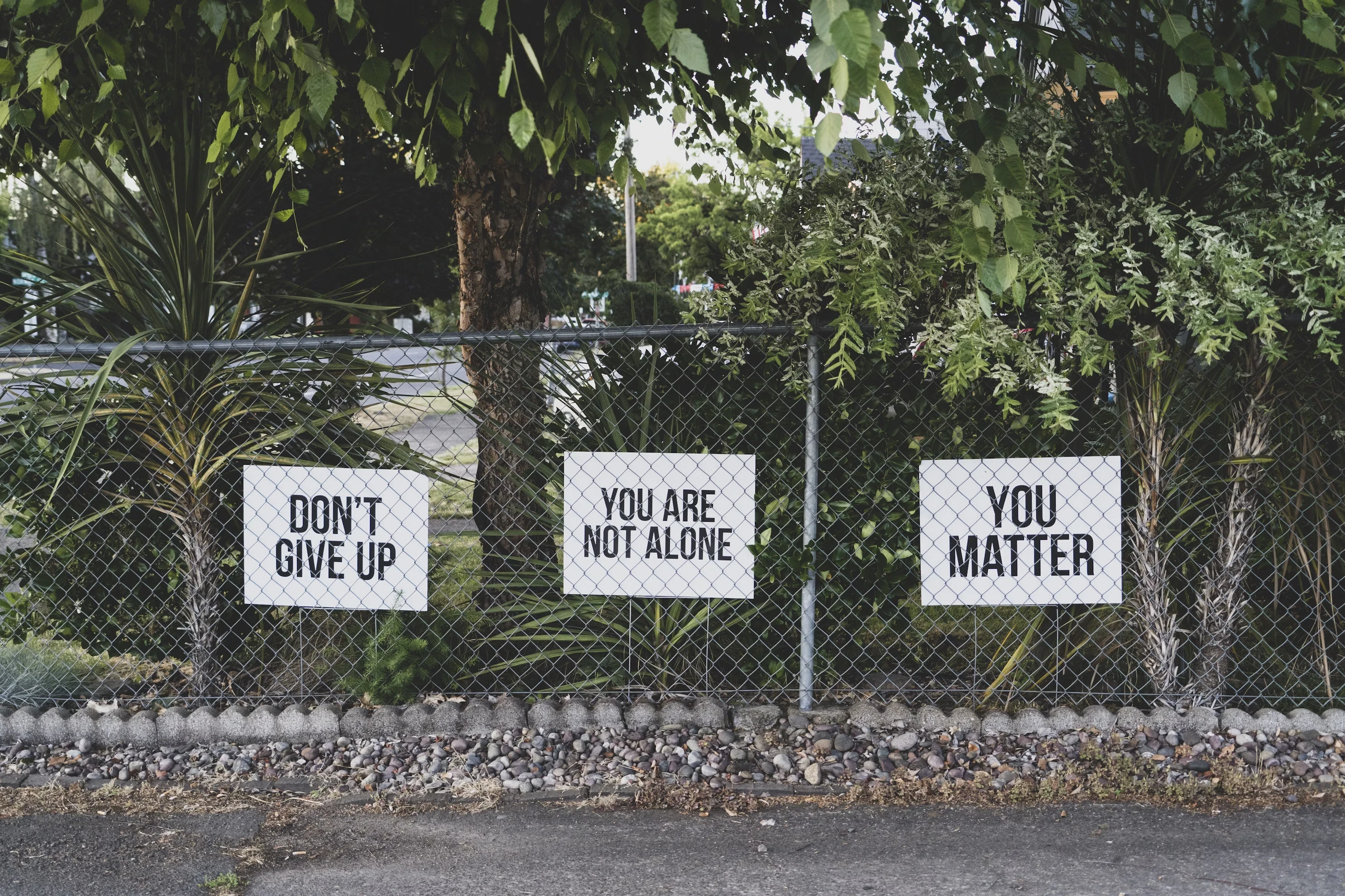 Mental health reminders written on a fence, "DON'T GIVE UP," and "YOU ARE NOT ALONE".