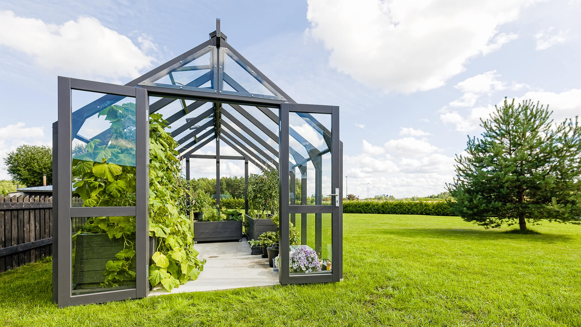 Serre bois sur gazon