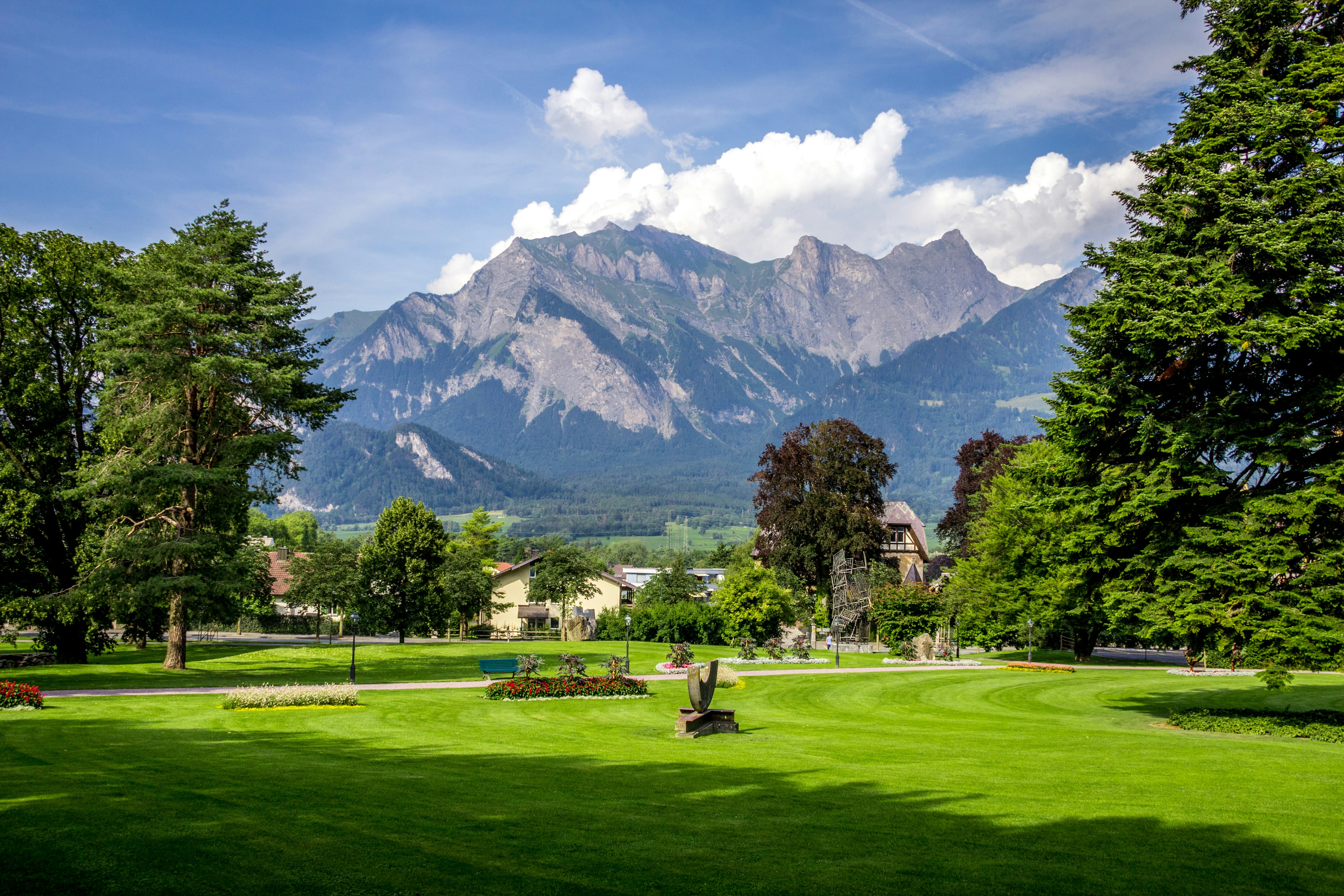 green grass field with trees and mountains in the distance