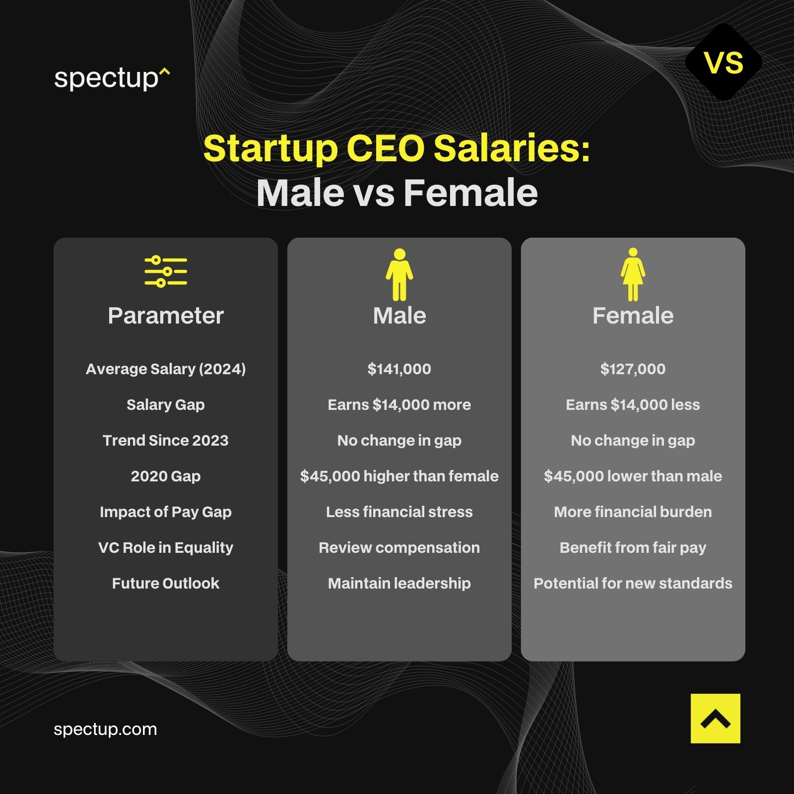 Startup CEO Salaries: Male vs Female