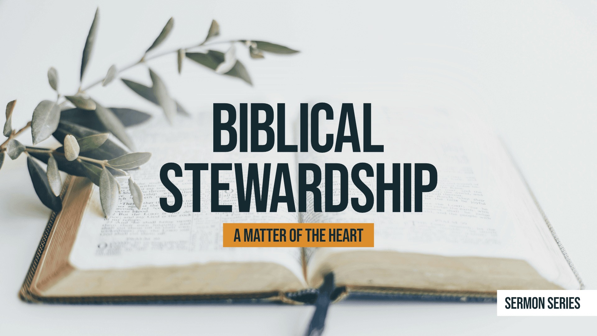 Biblical Stewardship