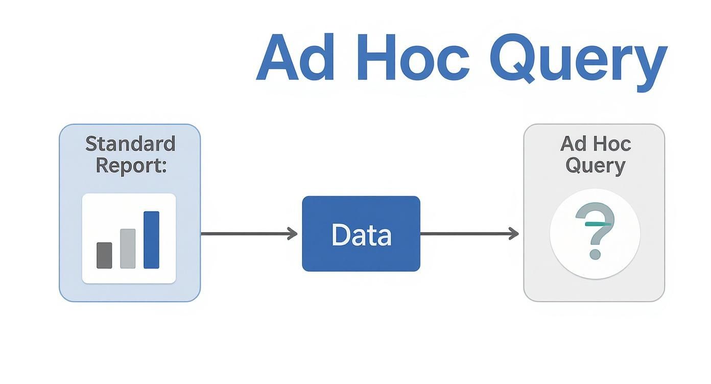 Infographic showing the difference between a standard report and an ad hoc query originating from a central data source