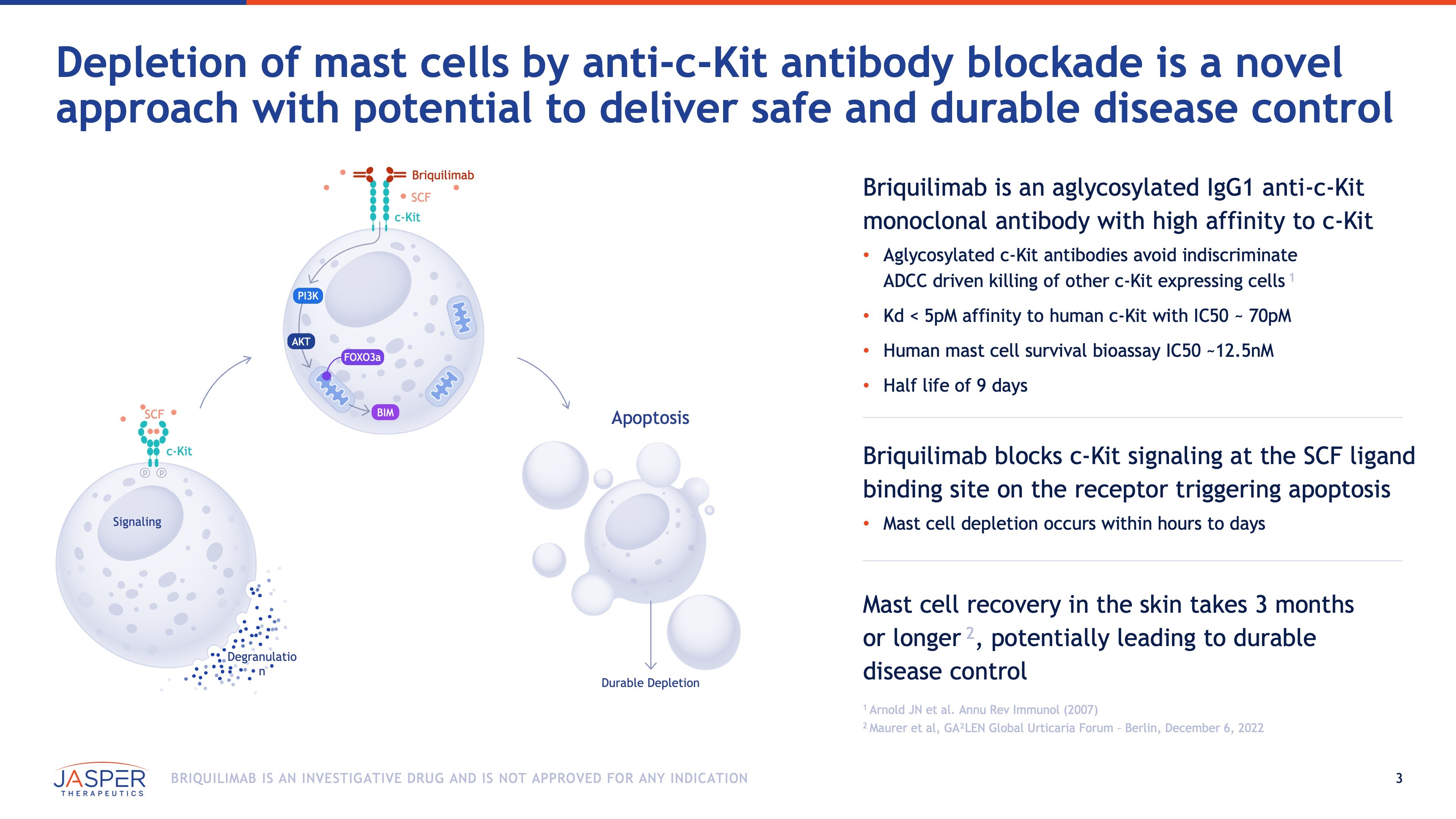 Mechanism-of-action diagram showing briquilimab binding to c-Kit, inhibiting SCF signaling, inducing mast cell apoptosis, and resulting in durable depletion