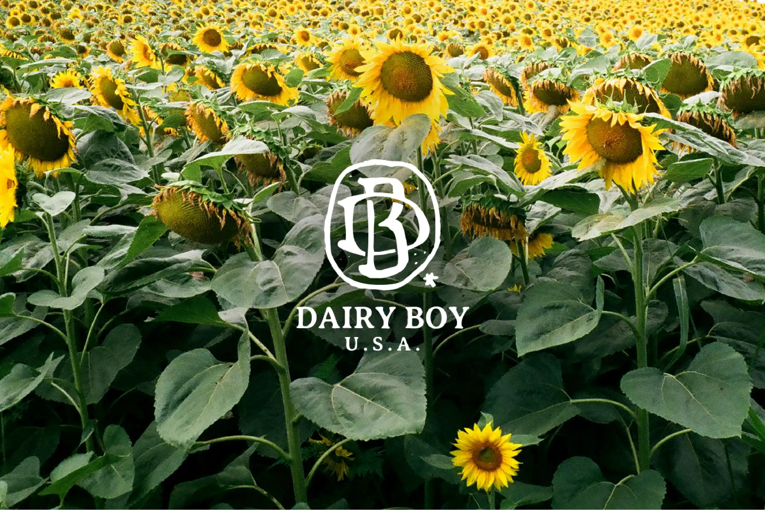 Tortuga Records hero image featuring the turtle-and-globe logo over a sunset beach photo of people playing soccer in Rio de Janeiro, with mountains in the background.