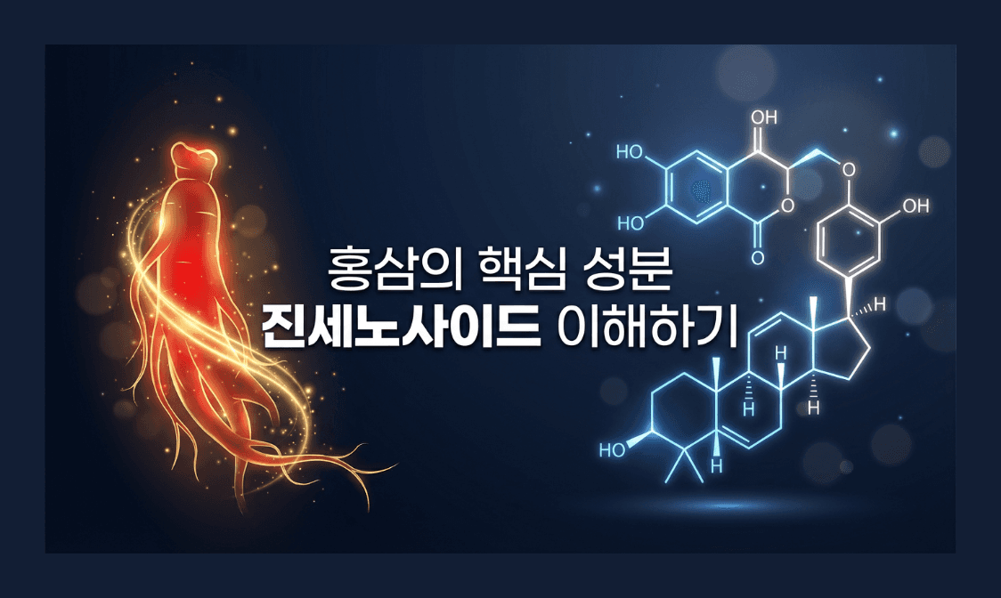 홍삼의 핵심 성분 진세노사이드 이해하기