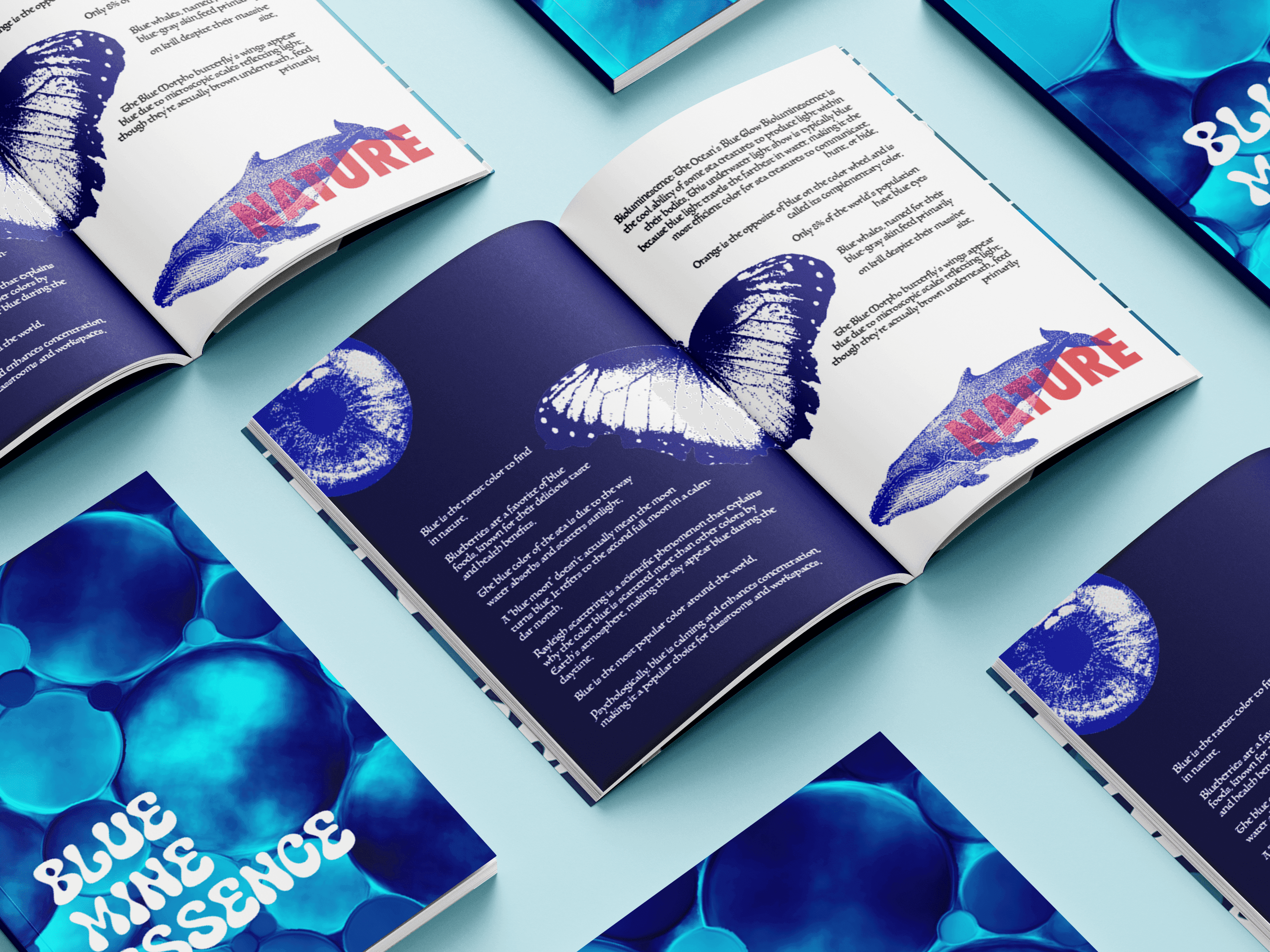 Full moon rising over a dark, silhouetted mountain ridge.