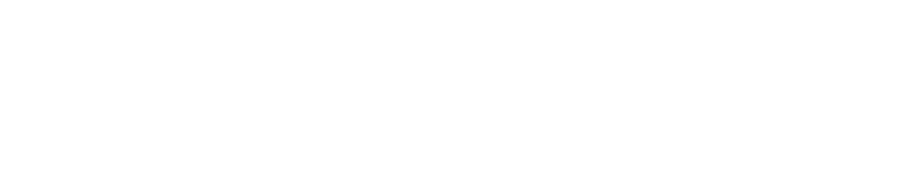 logo that reads elopements with a feather/leaf icon in the upper right corner