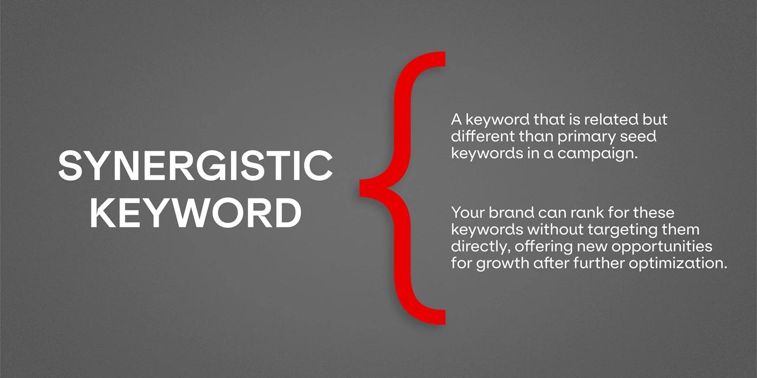 A graphic defining "Synergistic Keyword" as a keyword that's related but different than primary seed keywords in a campaign.
