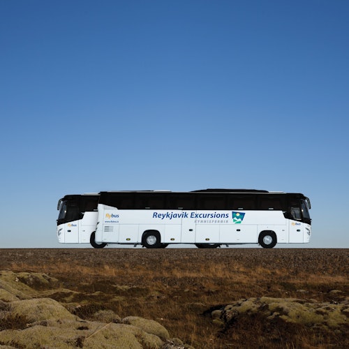 Dos autobuses turísticos blancos con la marca "Reykjavik Excursions" están estacionados en un paisaje desértico bajo un cielo azul claro.
