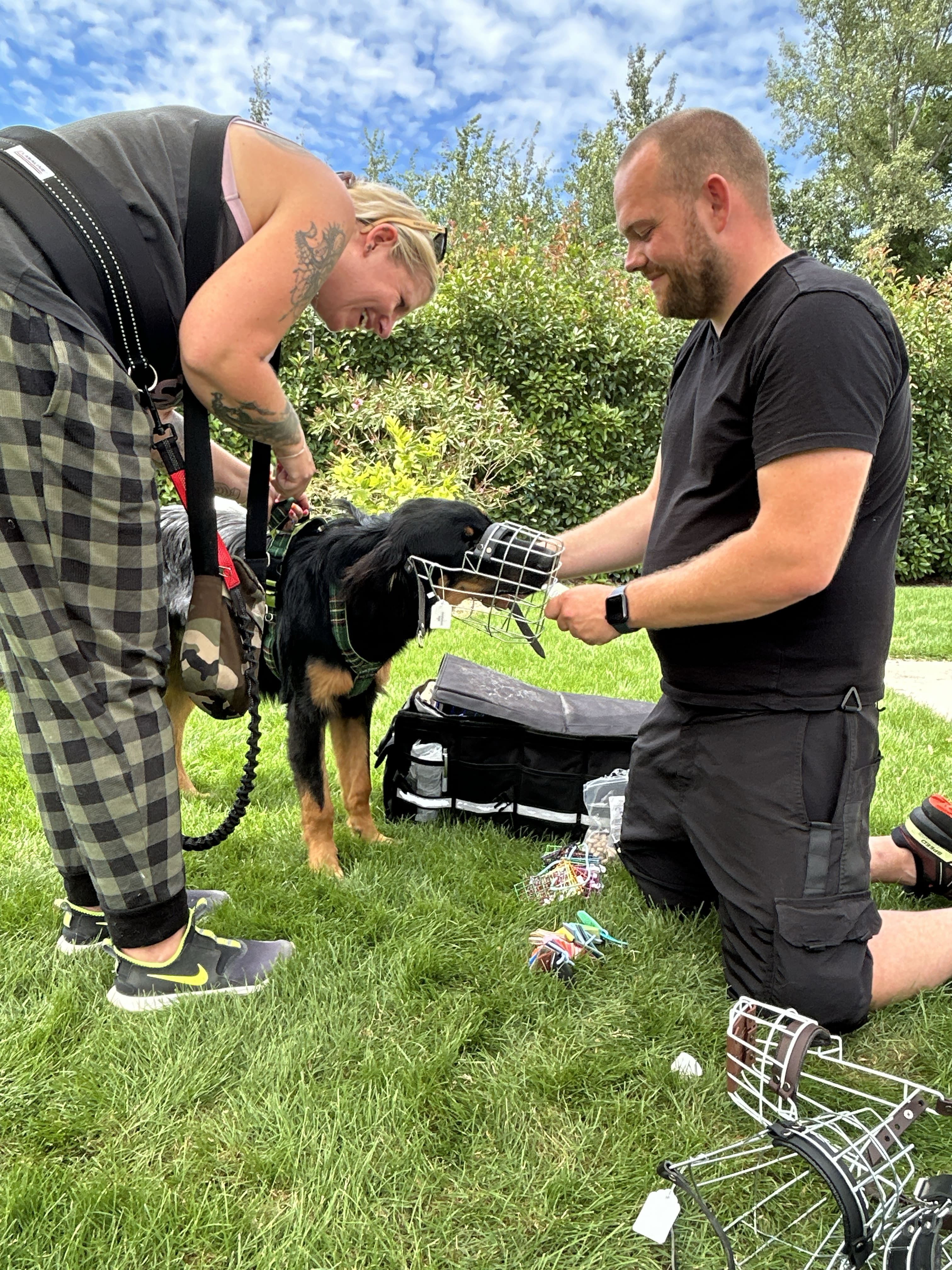dog with mouth protector