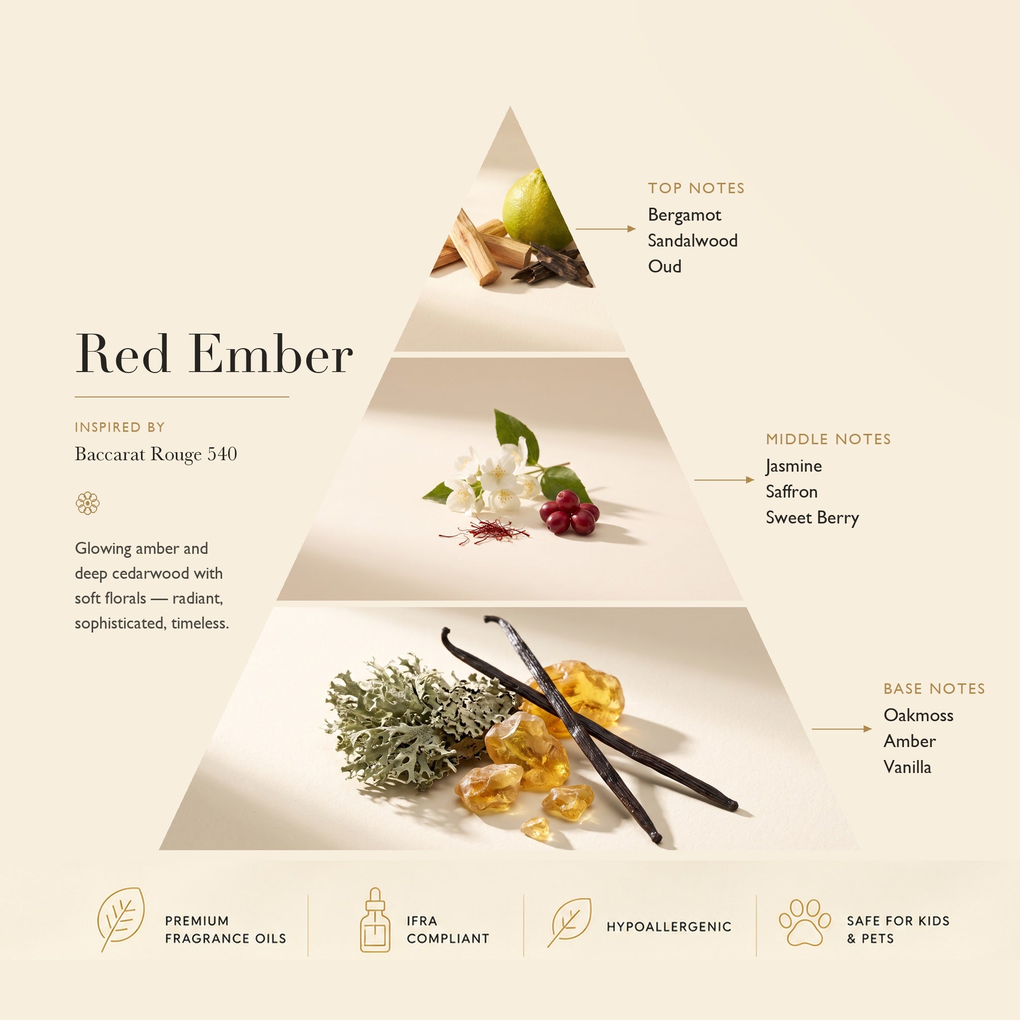 Red Ember fragrance notes pyramid