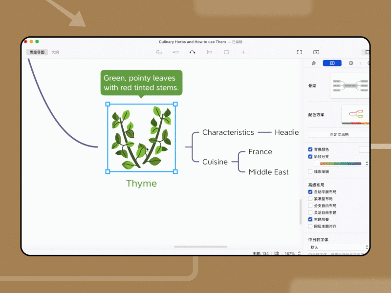 香 thyme 植物介绍图