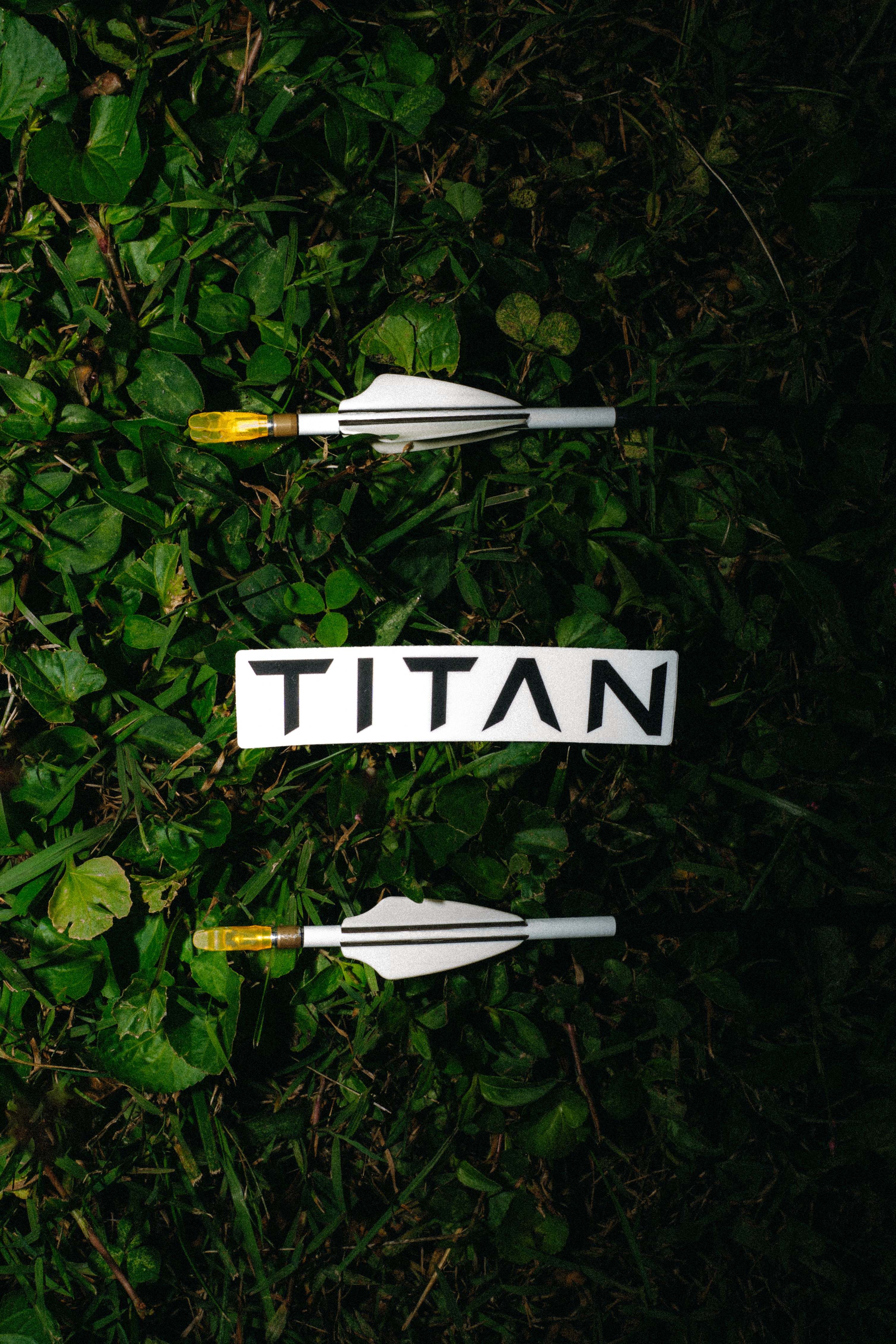 Presentation of work