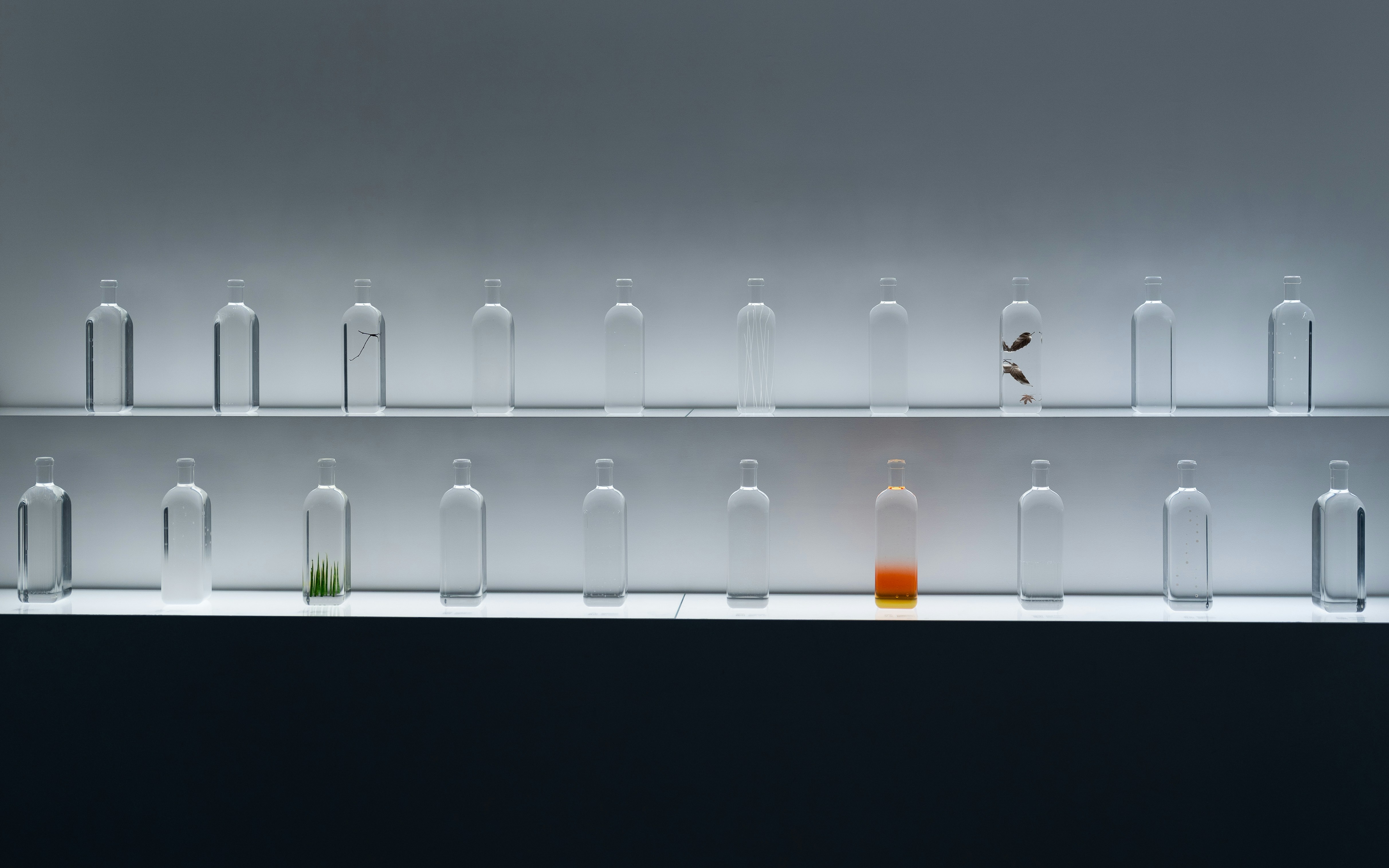 Group of men surfing