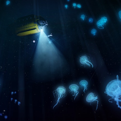 VR 头戴设备/泰坦尼克号