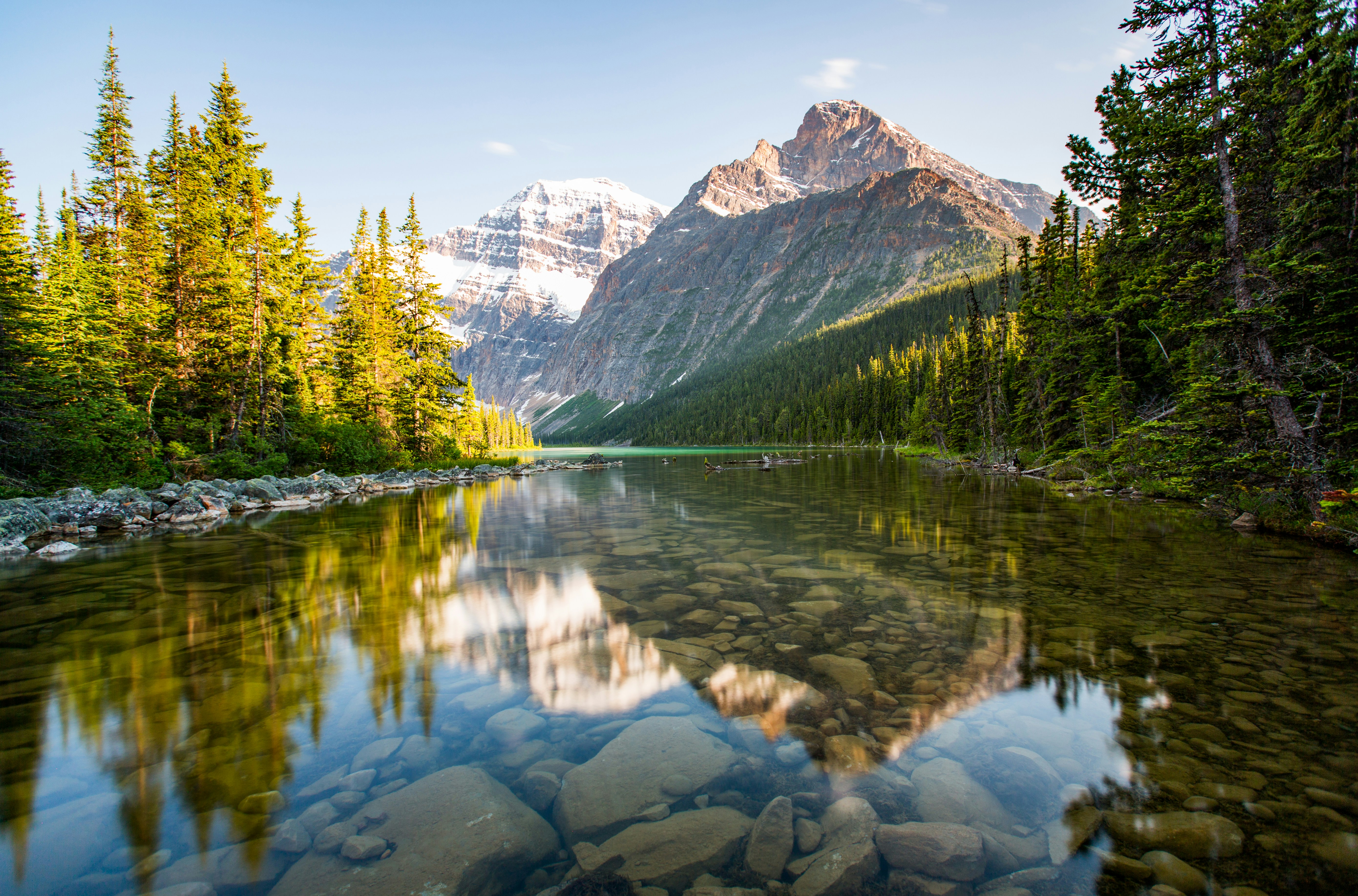 Lake between a forest and a mountain