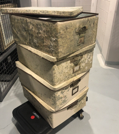 상자, 폐기물 컨테이너, 실내, 뾰족바위이(가) 표시된 사진

AI 생성 콘텐츠는 정확하지 않을 수 있습니다.