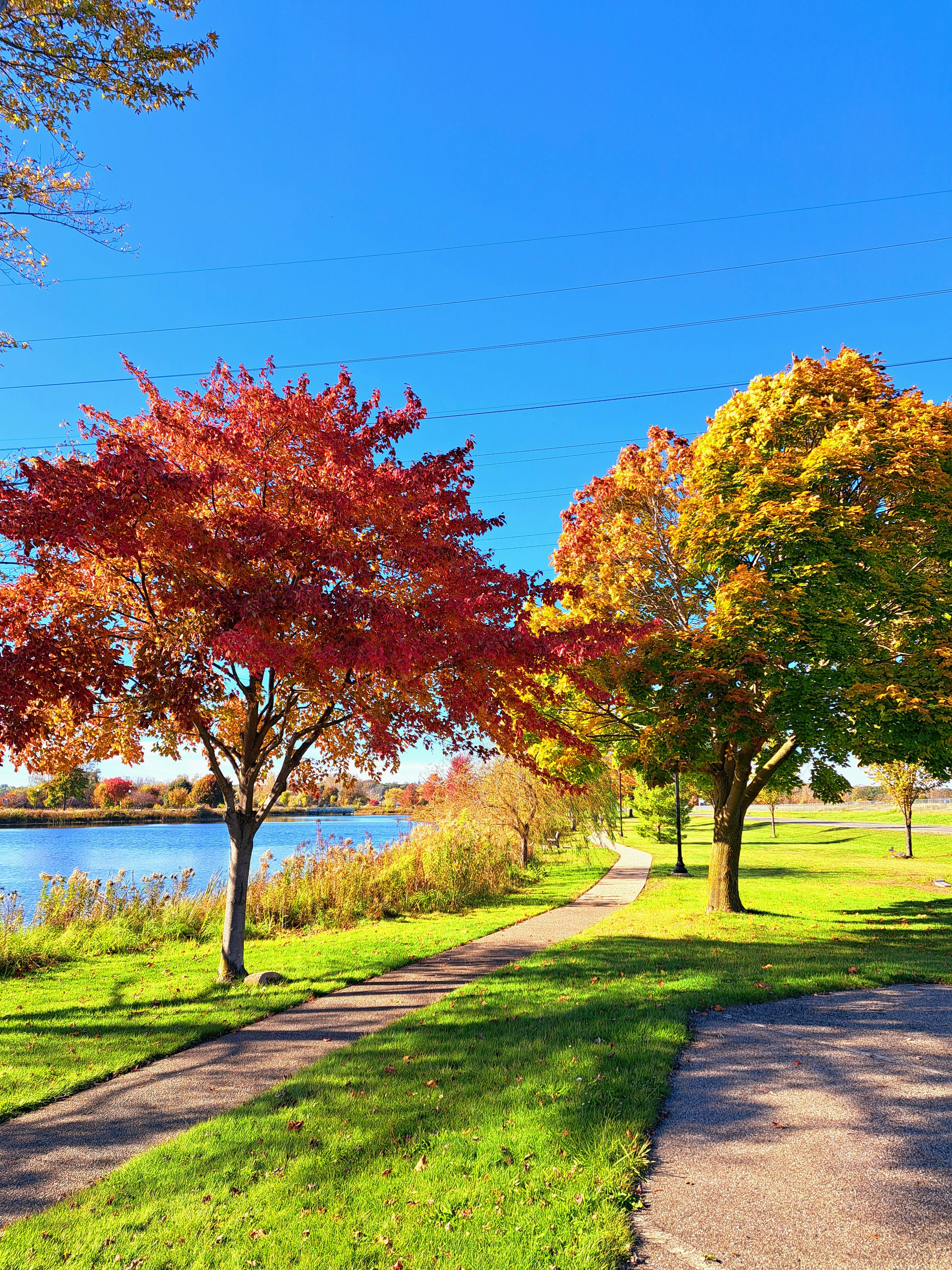 A paved path in a park next to a lake