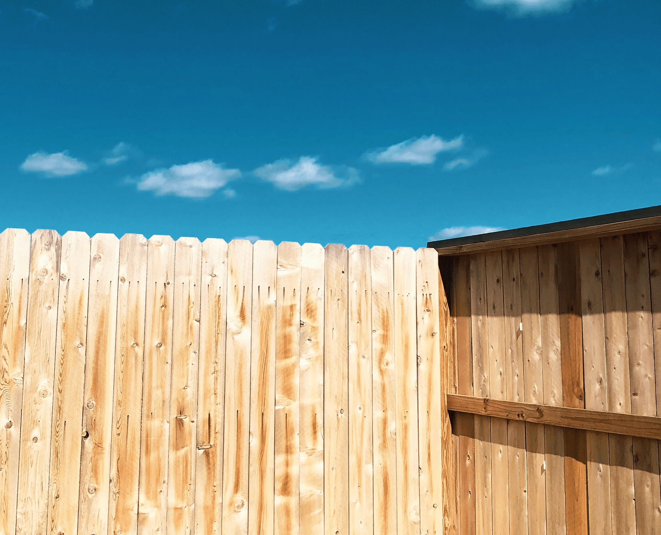 brown wooden fence under blue sky during daytime