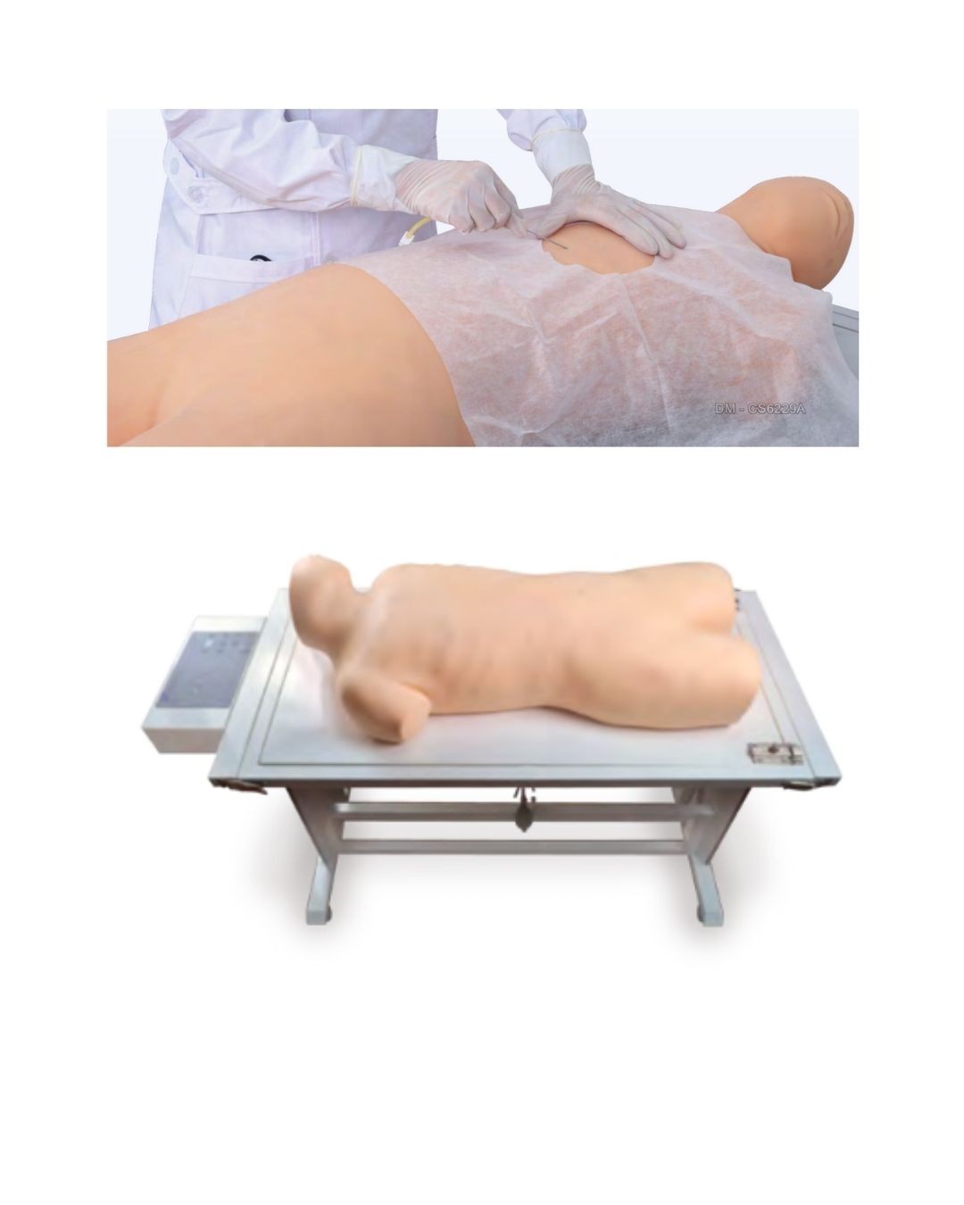 Full functional puncture model