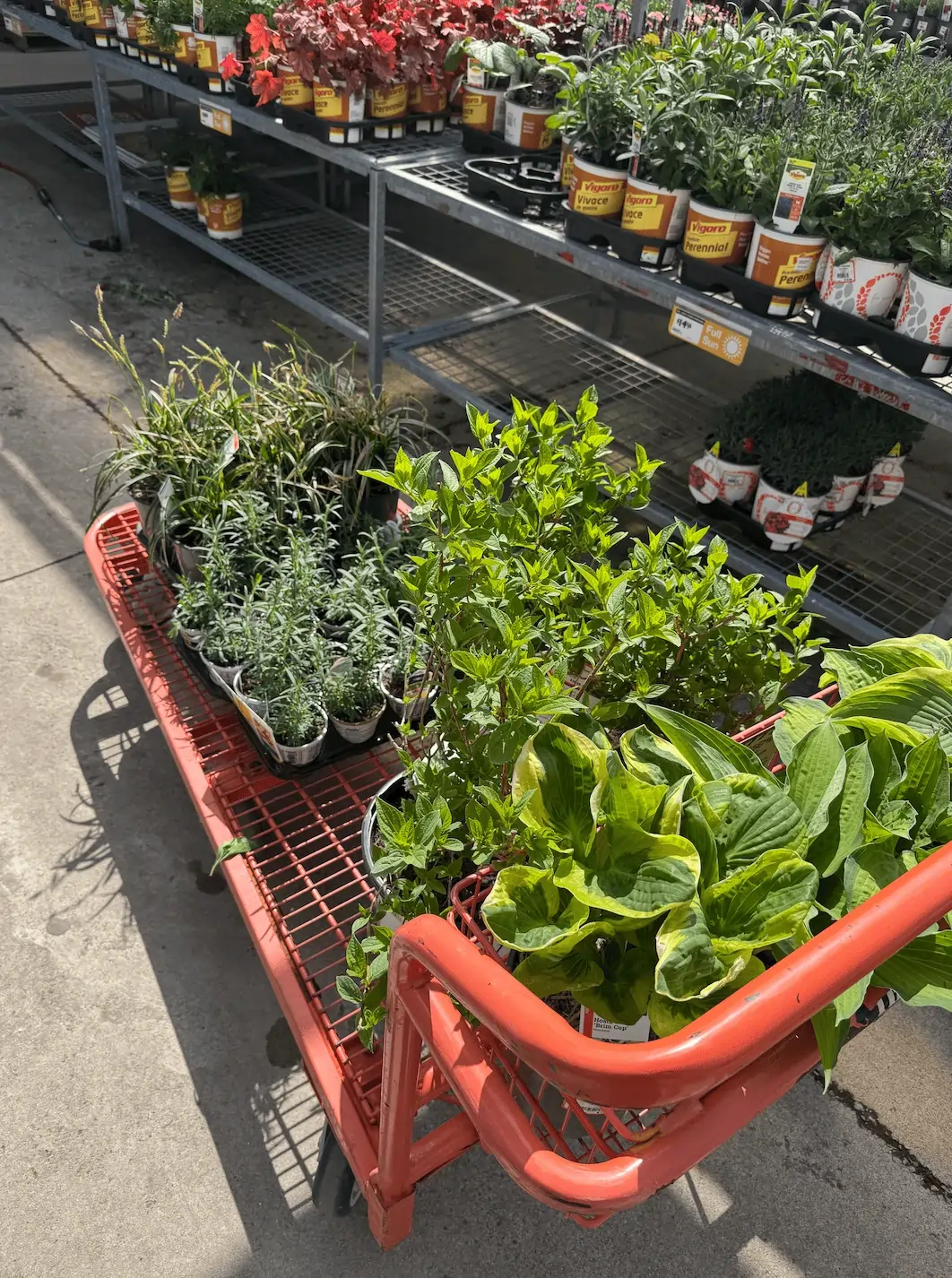 flower pots being installed by Bulldog crew