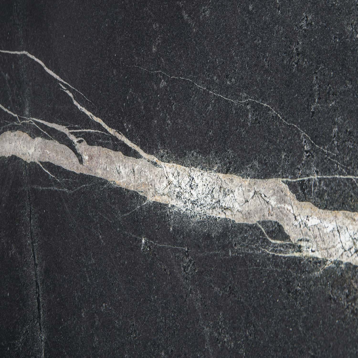 Zebra Black Naturstein mit hellen Linien