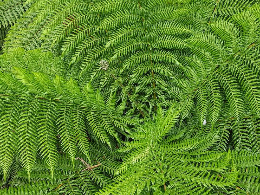 a black and white cat laying on top of a white wall