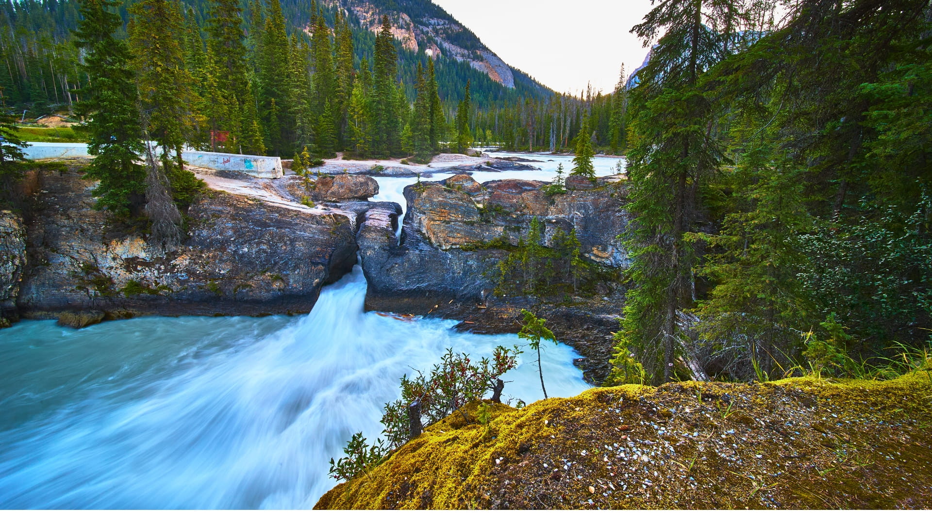 The Natural Bridge in Yoho National Park
