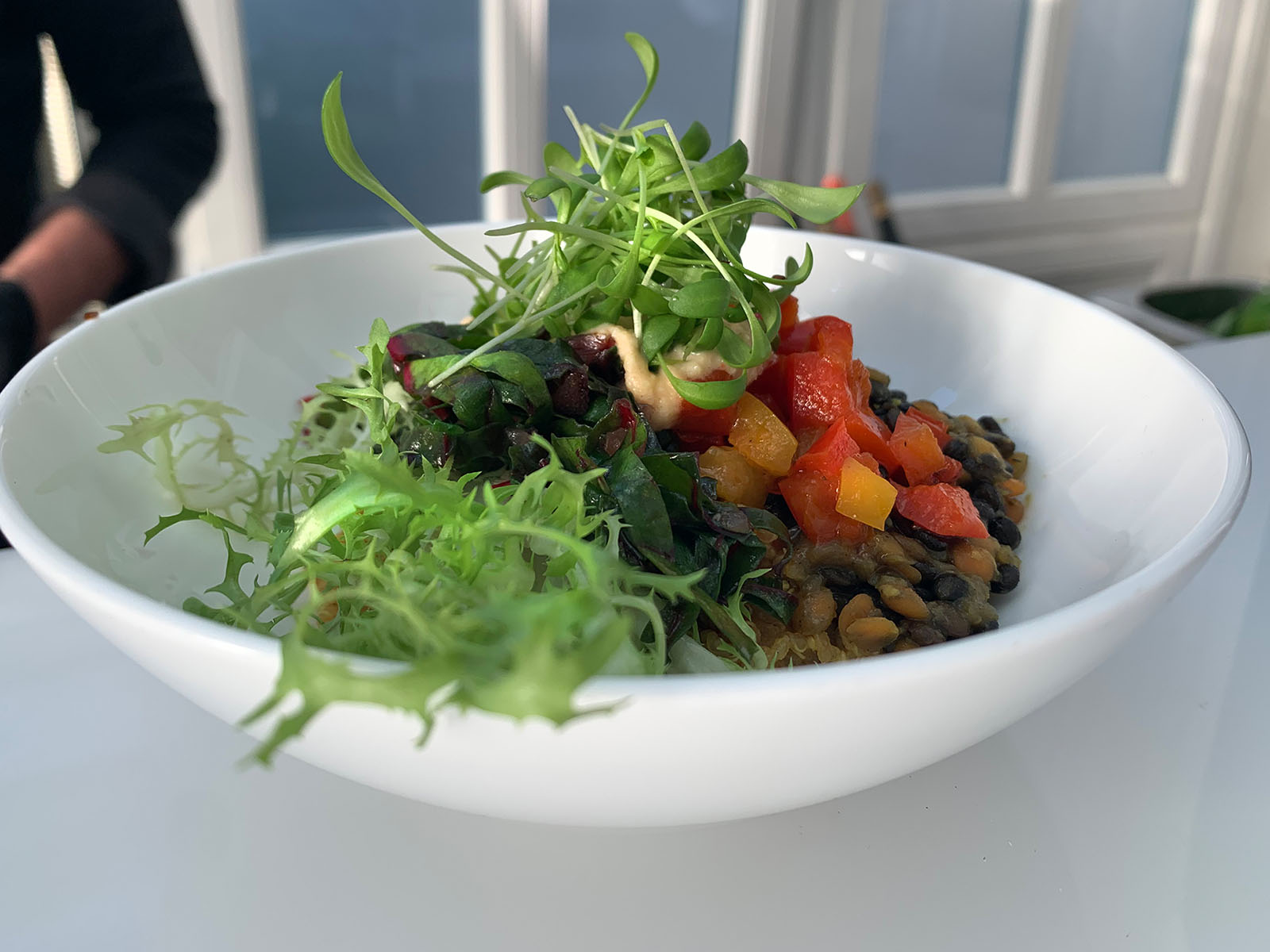 Frischer veganer Salat mit Kräutern und buntem Gemüse auf weißem Teller
