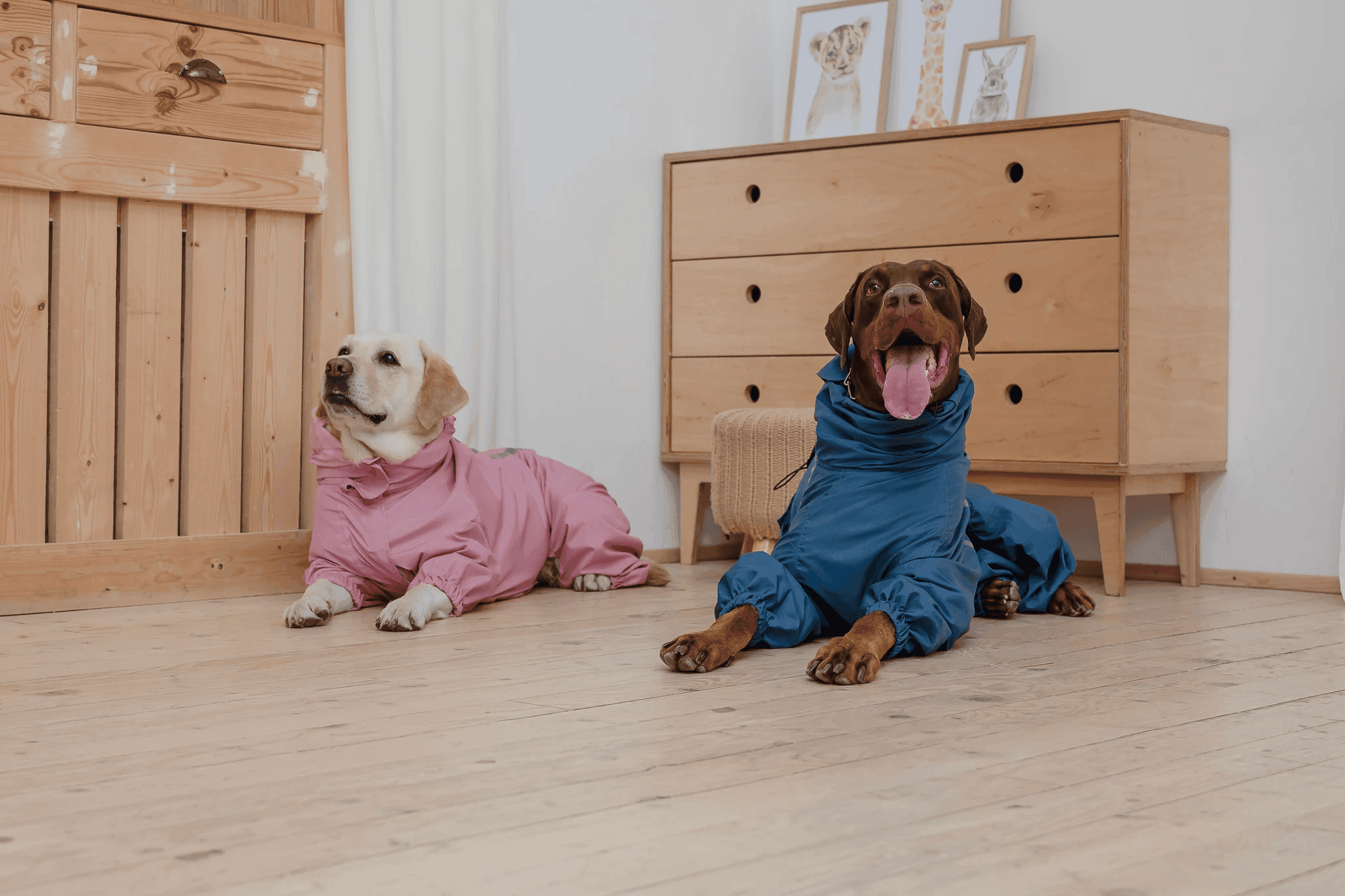 Two dogs lounging on light wood-look hybrid flooring in a cozy room, highlighting LUXO Floors’ scratch-resistant, pet-friendly, and low-maintenance hybrid floors perfect for Australian homes with pets.