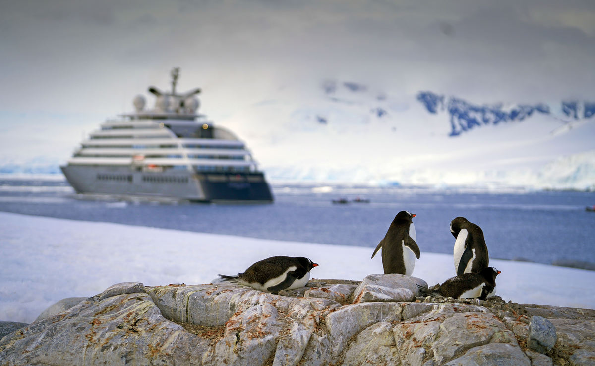 Penguins and an Antarctica expedition vessel