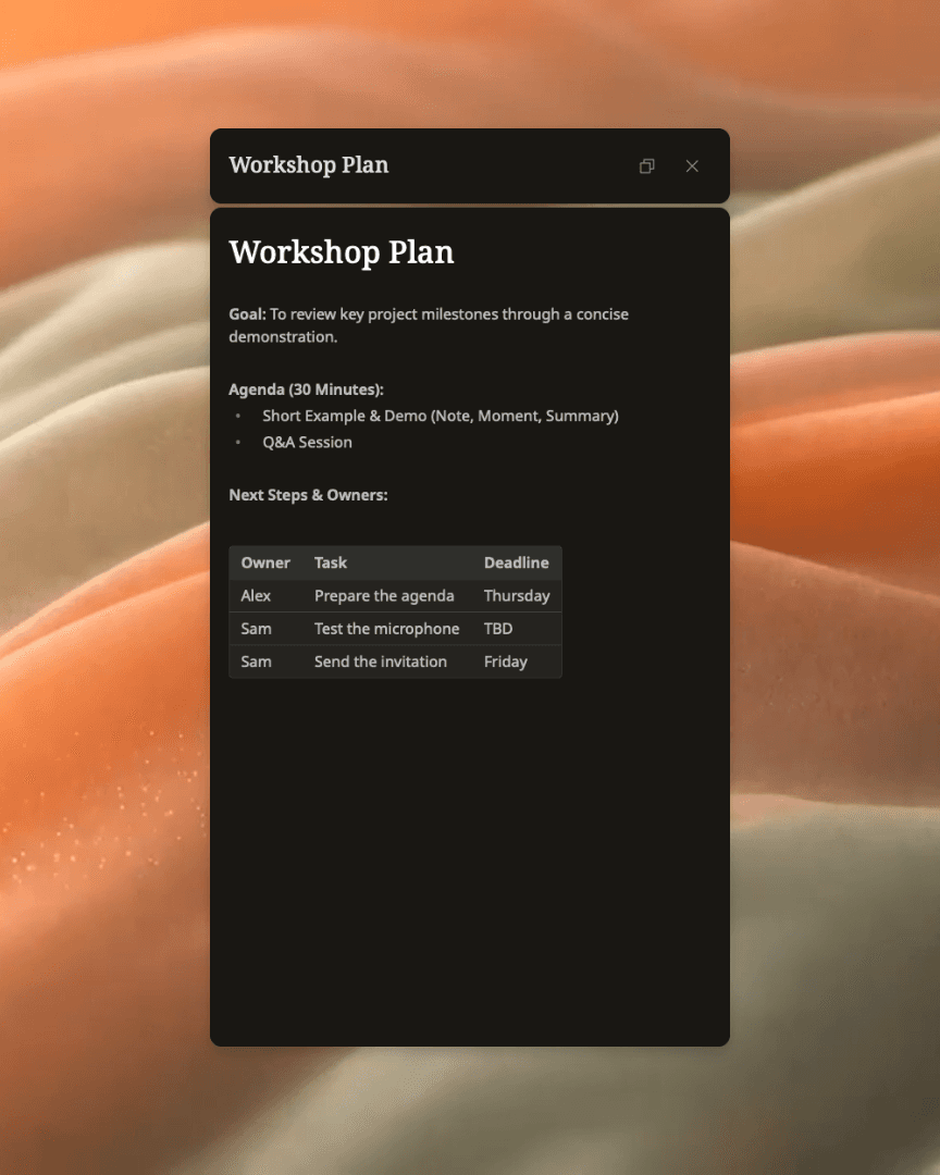 Weeve's document reader displaying a demonstration workshop plan with task owners and deadlines