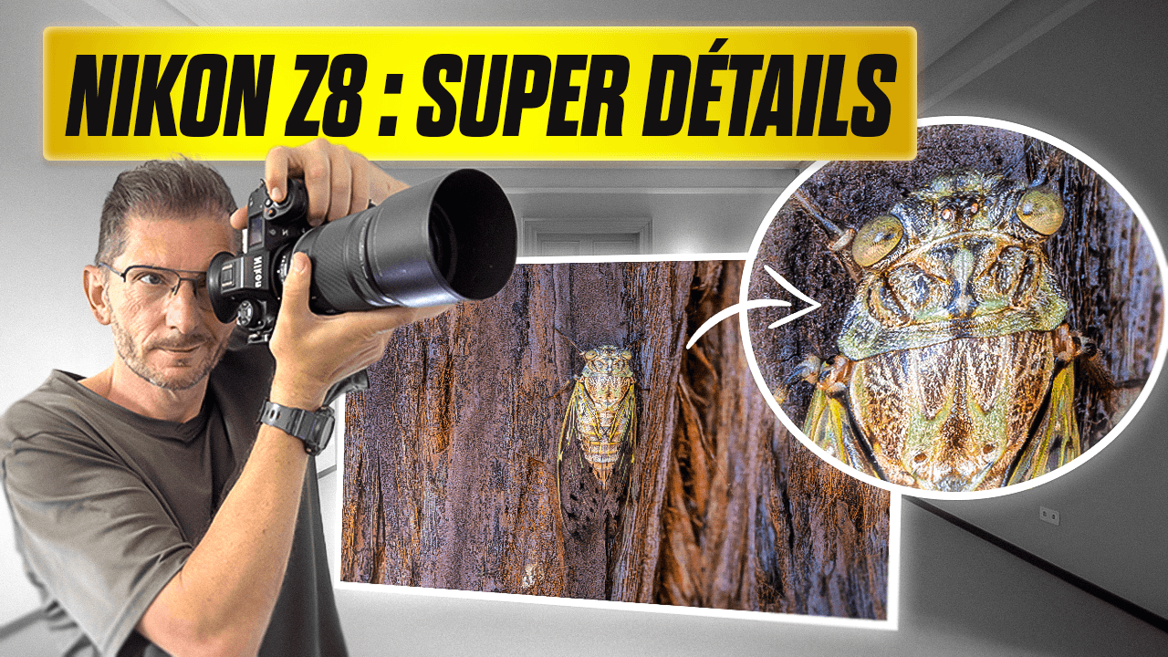 Photographe tenant un Nikon Z8 à l’épaule, fléché vers un gros plan détaillé d’une cigale, avec titre “NIKON Z8 : SUPER DÉTAILS” sur fond jaune.