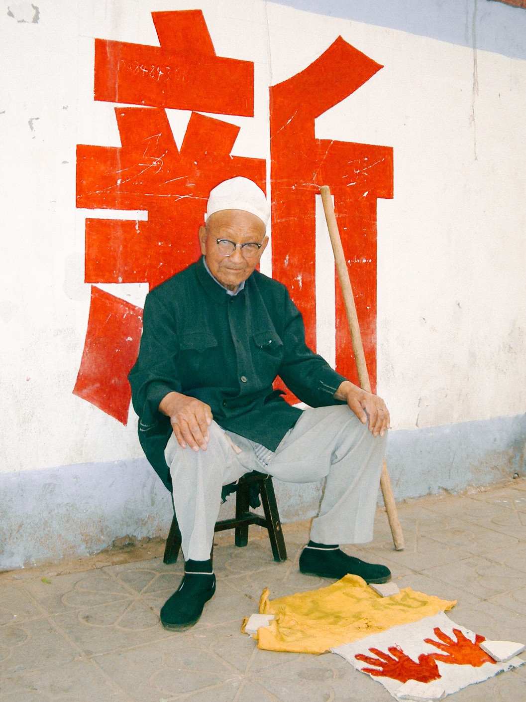 picture of plants and greenery