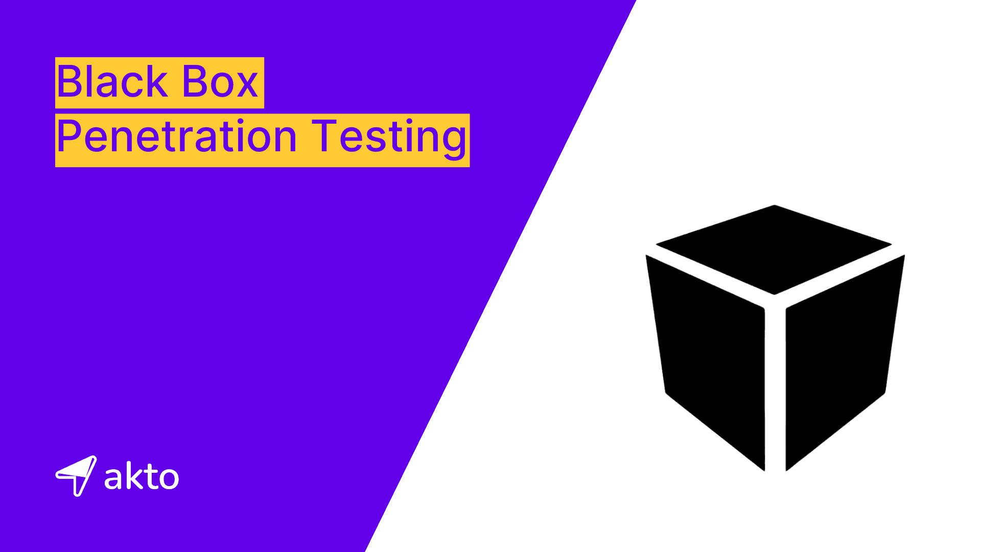 Black Box Penetration Testing