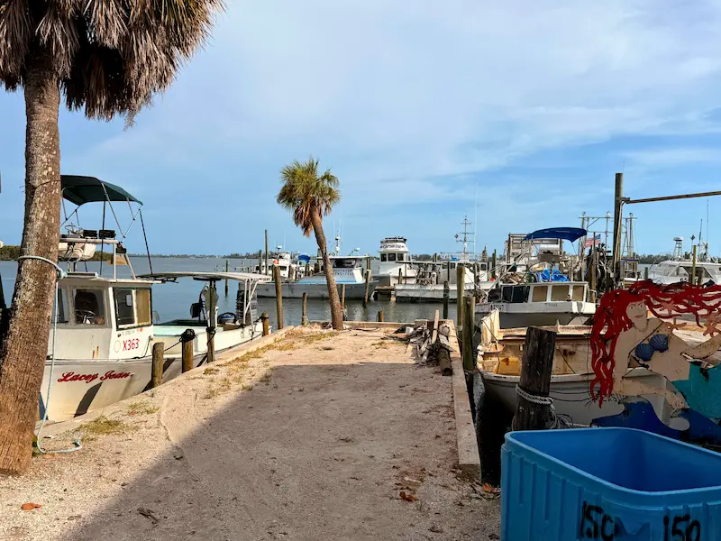 a seren scene of fishing boats docked in Cortez, Florida