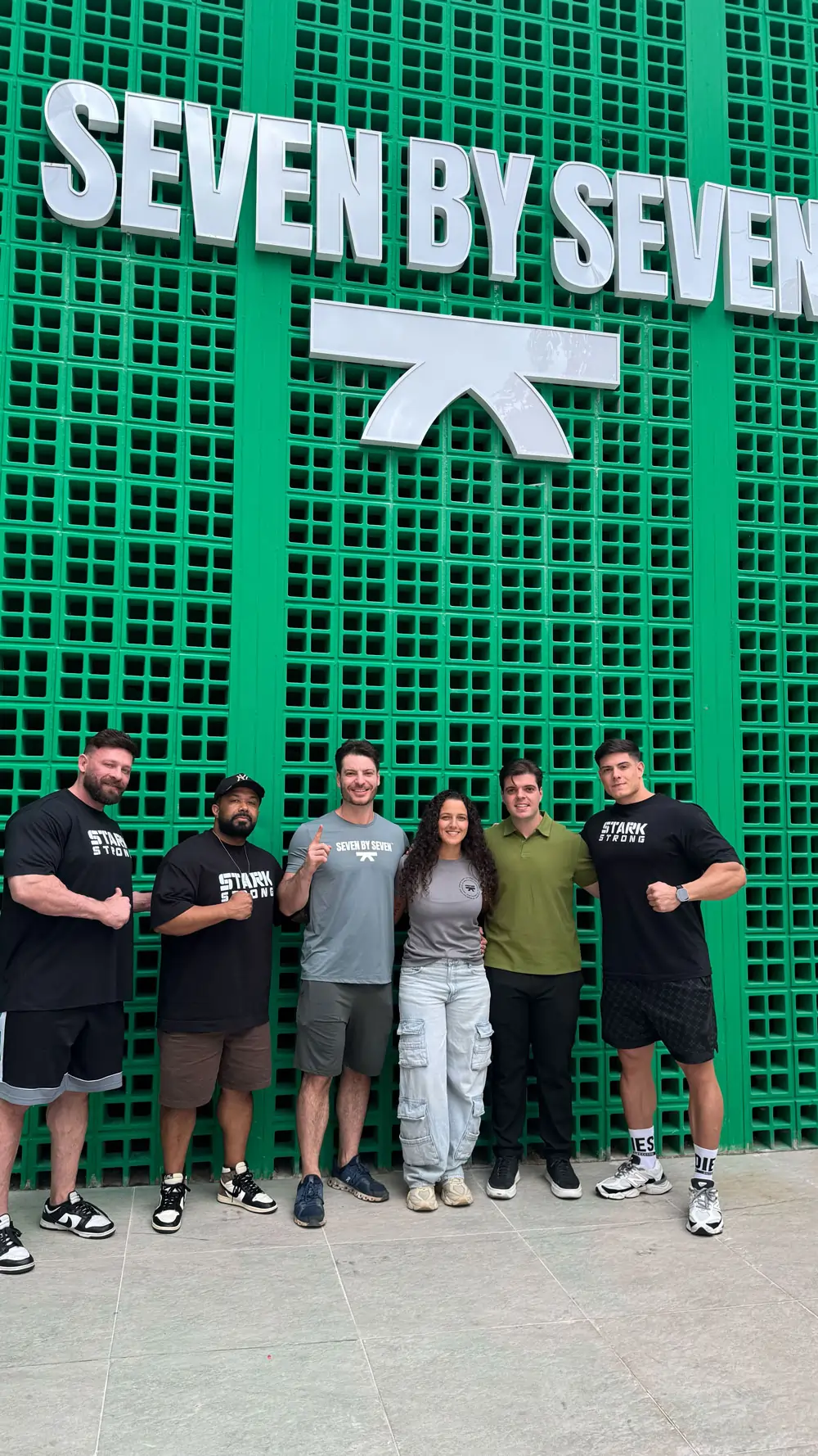 Treino de força • Stark Strong 🔥