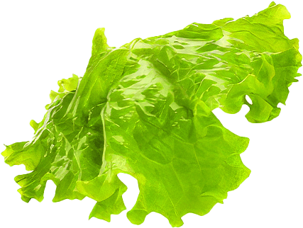 basil_1