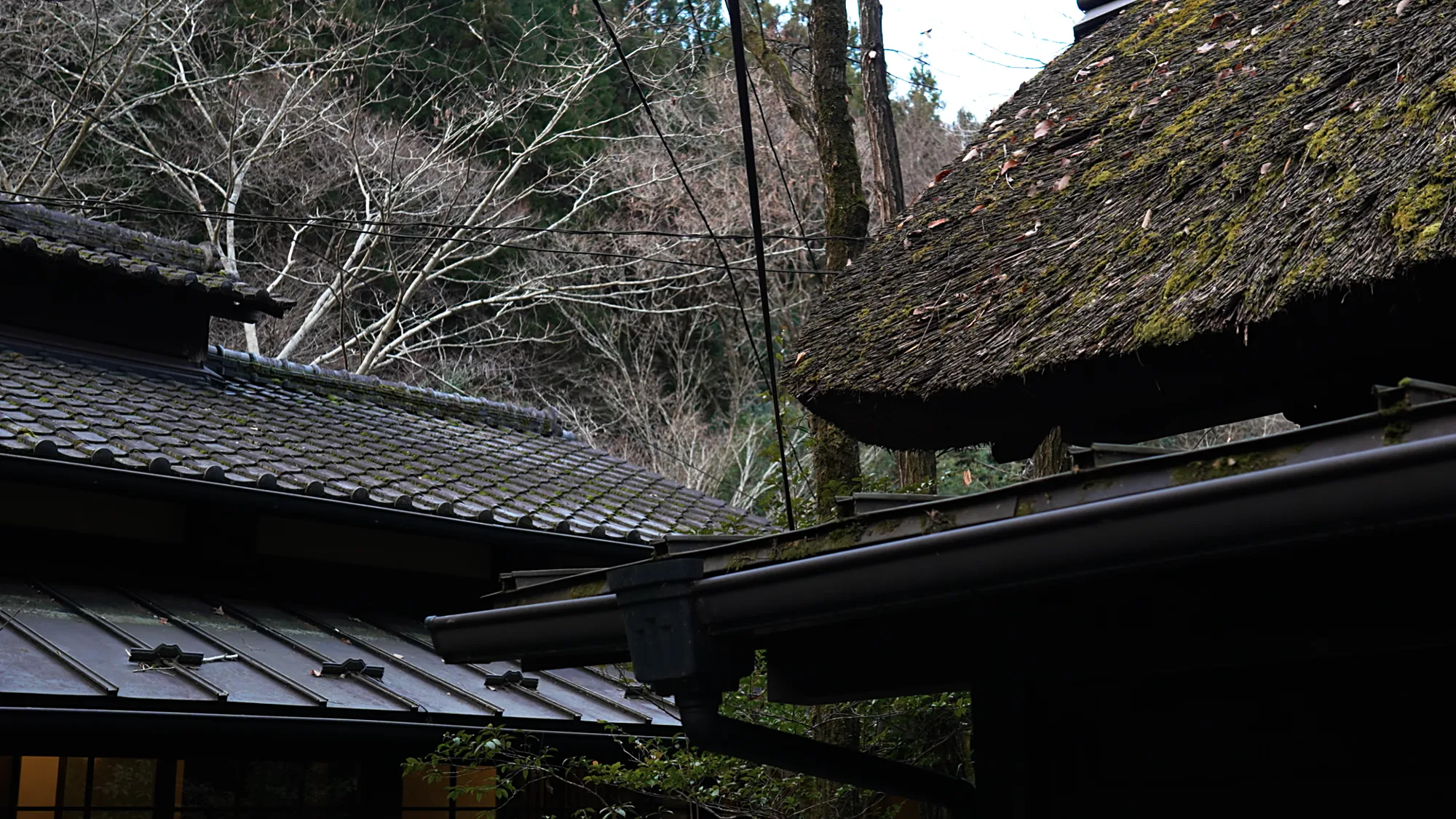 A thatched roof rising behind a tiled one at Kurokawa Onsen, a timber signboard in front