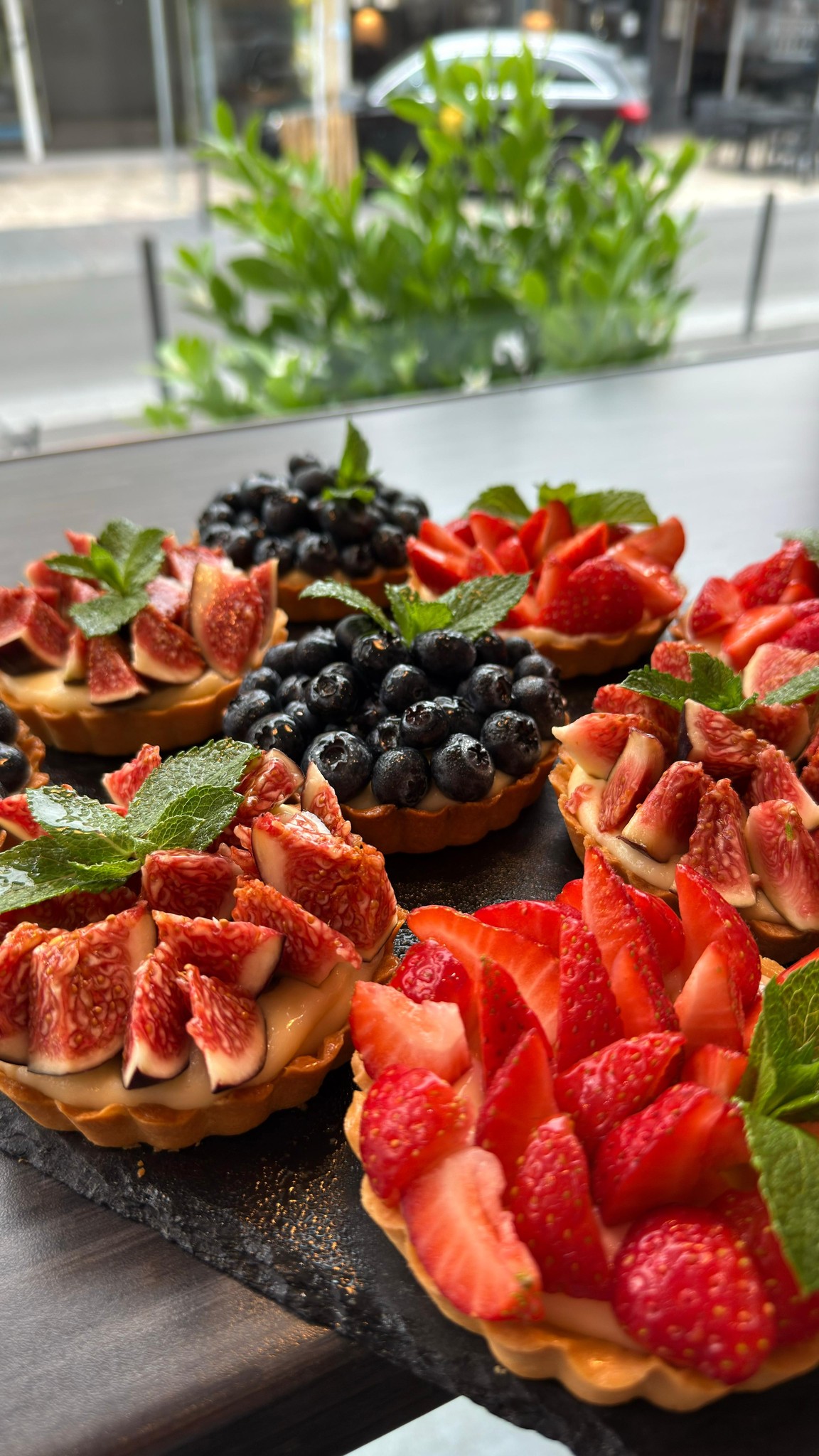 La Paloma environment