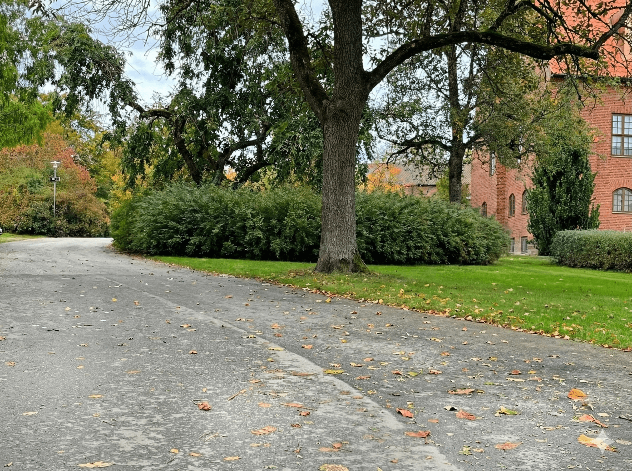 blue spiral light on red background