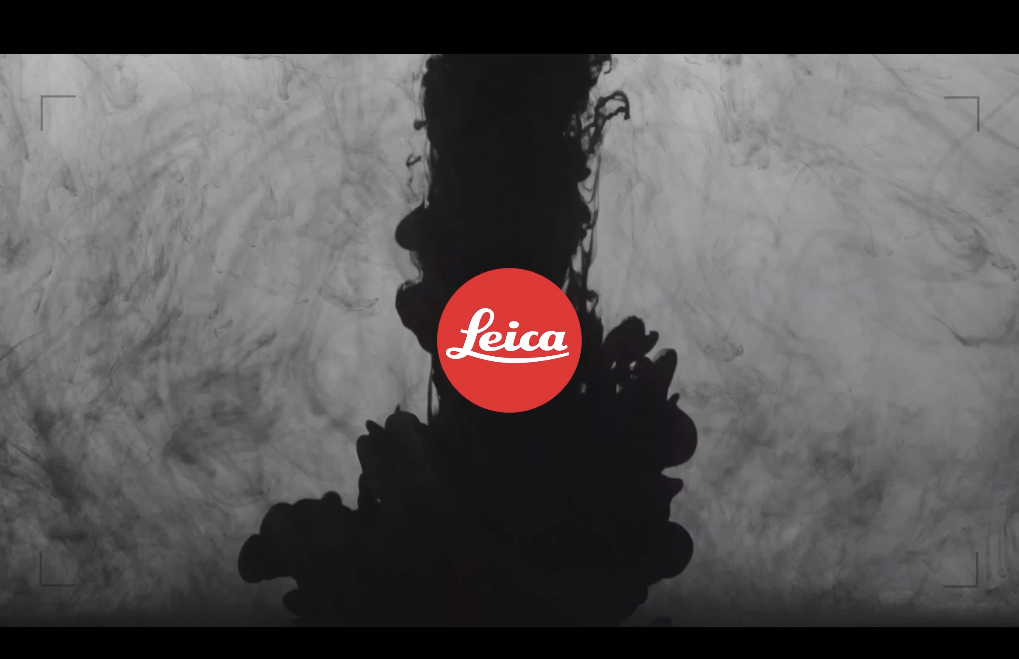 Modern concept car stands in the driveway